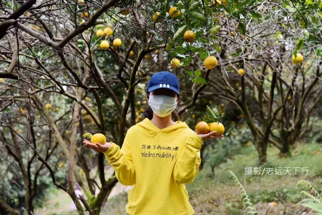 悠然三明：梅列瑞云山为佛，葡萄美酒配熏鸭