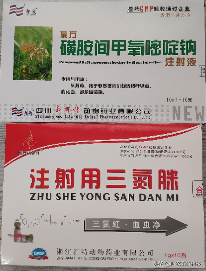 猪的附红细胞体病病原体,猪附红细胞体高怎么预防