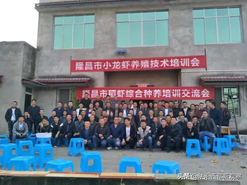 稻花香生态养殖,稻花香种植家庭农场