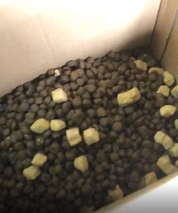 带冻干的猫粮好还是不带的好,冻干猫粮评测