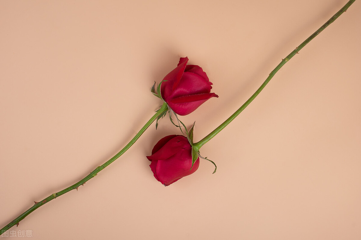 爱上大叔电视剧有哪些,爱上大叔那十年我的人生开了挂