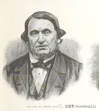 杀死一只兔子的预兆,杀死兔子的方法