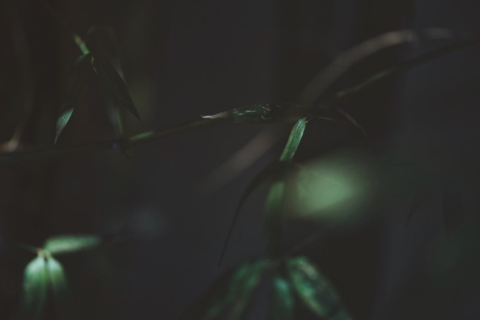 心中有桃花源何处都是山水间,心中若有桃花源何处是水云间