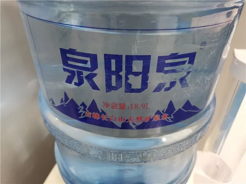 一任天真盈香易泡：冷泡，闷泡，淋泡轮番上阵怎么泡都好喝