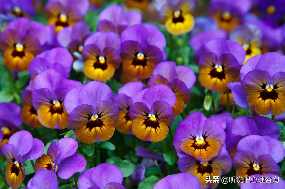 胸小的女生怎么增加自信,胸小如何不自卑