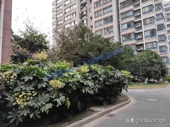 800万买的学区房,800万可以买什么房子