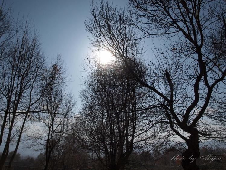 秋韵温柔岁月，冬情惊艳时光