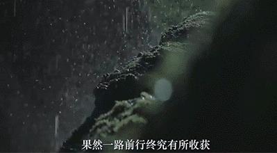 五种透明的动物,5种地球上罕见的动物