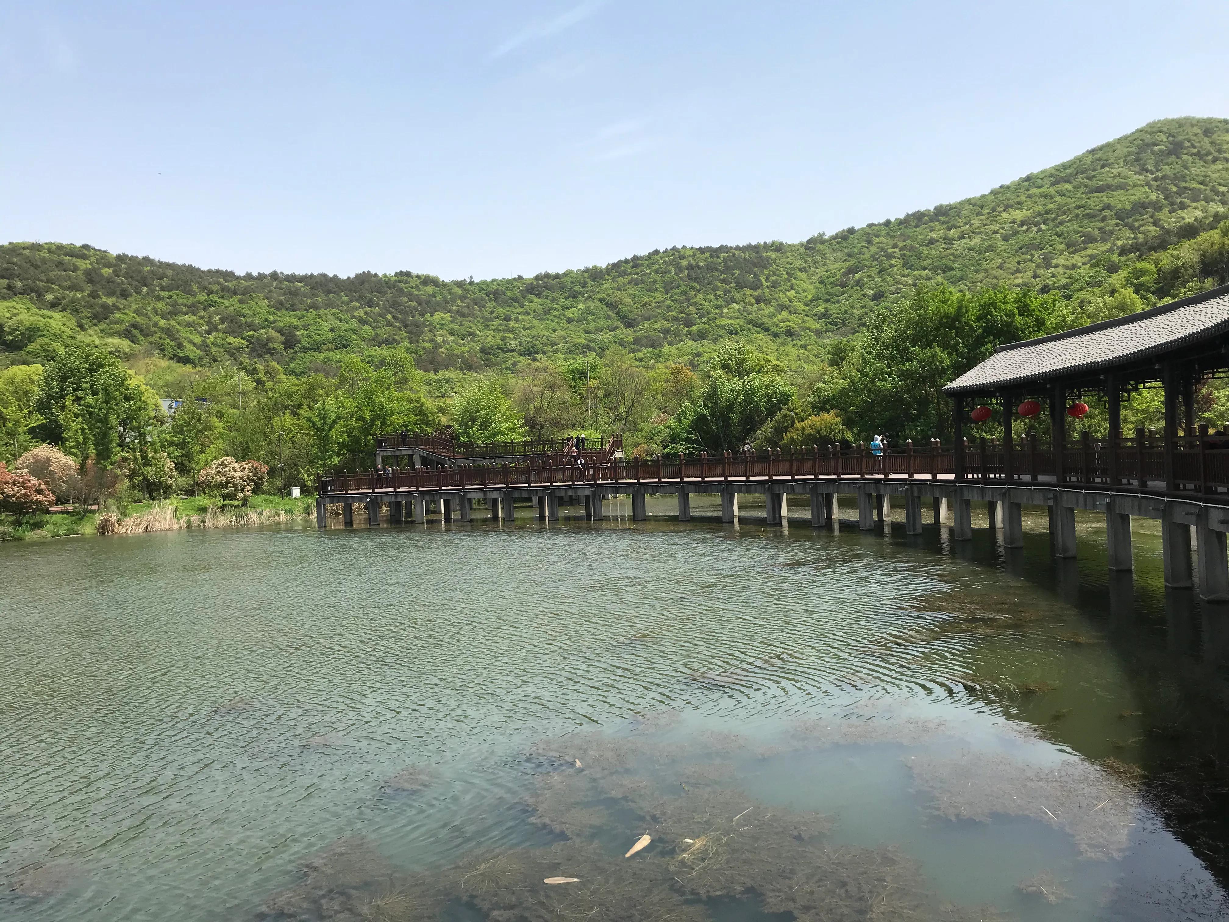 踏青山海秘境,石塘竹海游玩的最佳季节