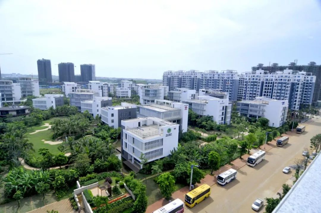 海南的优美环境,海南的环境美吗