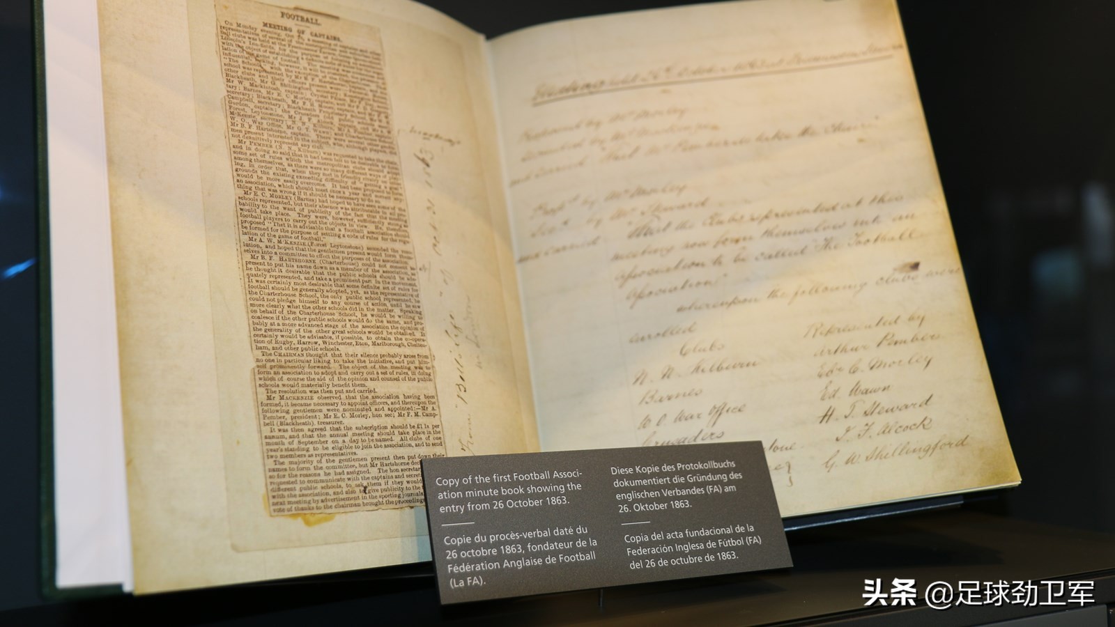 困惑！教练员在场边教的越多，世界第一运动的水平可能越低？