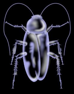 家中小强除不尽？有了“它”轻松解决