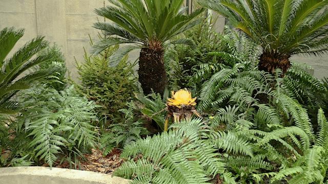 时髦精都在逛的hAomArket好市,一站式承包你的冬日小众好物