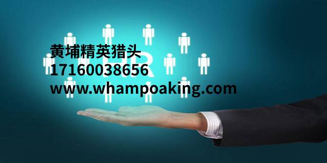 猎头顾问的十七种职业发展路径