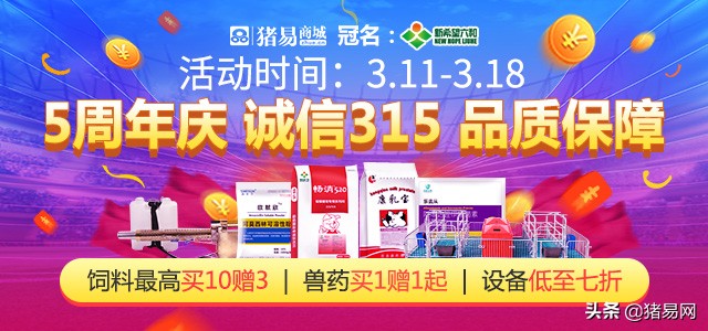猪易商城五周年庆钜惠，非瘟专场养好猪，诚信保障降成本