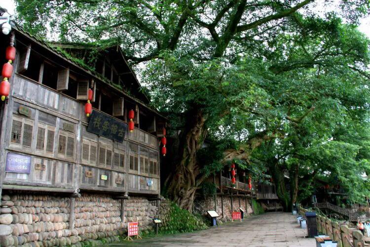 四川古镇烟雨视频,四川眉山古镇在哪里