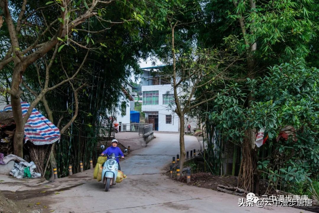 行走的风景岳池,行走的“风景”