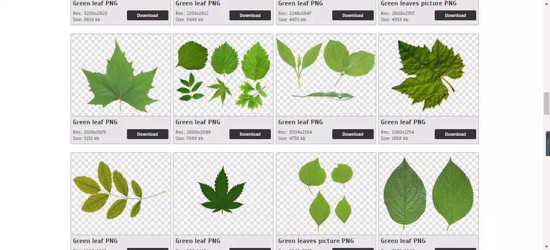 免费高清图片网站推荐,免费可商用素材网站