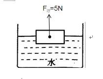 物理力与运动知识点及检测题pdf,物理运动和力综合试题