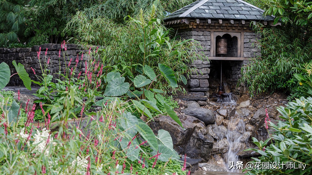 2023年切尔西花展各个花园的介绍,切尔西花展最佳花园