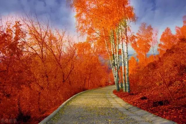 我决定我不再庸人自扰了经典语录,我决定不再前行的歌词