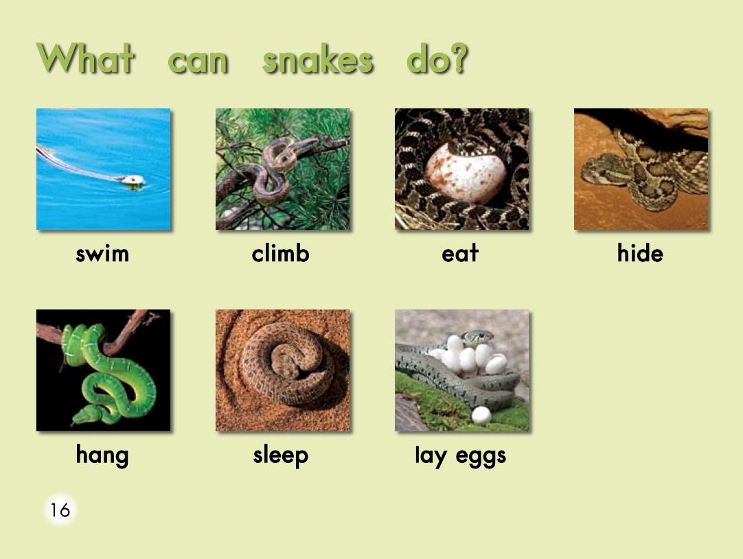 小怪物英语绘本阅读,w字母英语绘本阅读