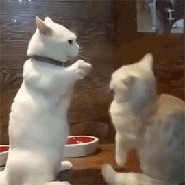 秋天的杭州自驾游,杭州秋冬自驾