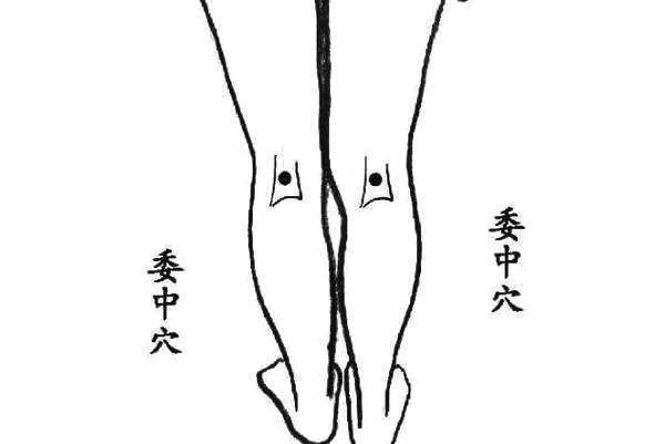 张景明讲专治腰肌劳损的中草药,腰肌劳损的治疗方法穴位