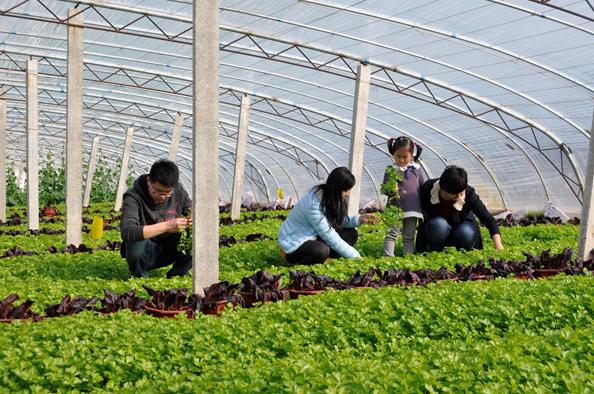 淄博是世界足球的起源地,临淄世界足球起源地