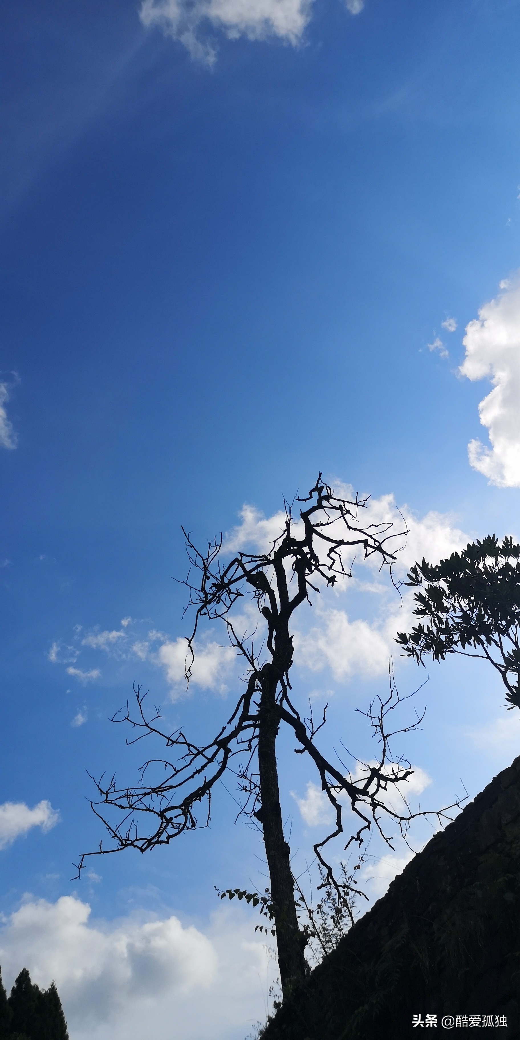 荣放双擎四驱精英plus放一夜没电,2.5荣放双擎plus和探岳四驱智联