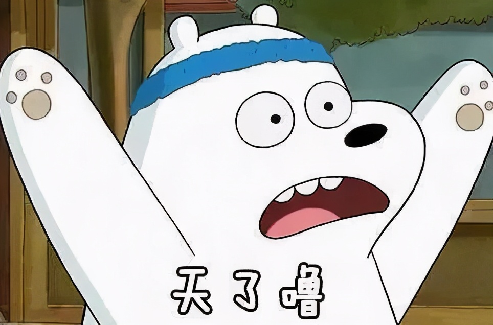 宠物窝怎么清洁保养好,宠物肉垫毛怎么清理