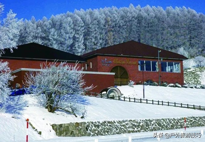 日本北海道富良野骑行攻略，试过在花田、花海中骑行吗？