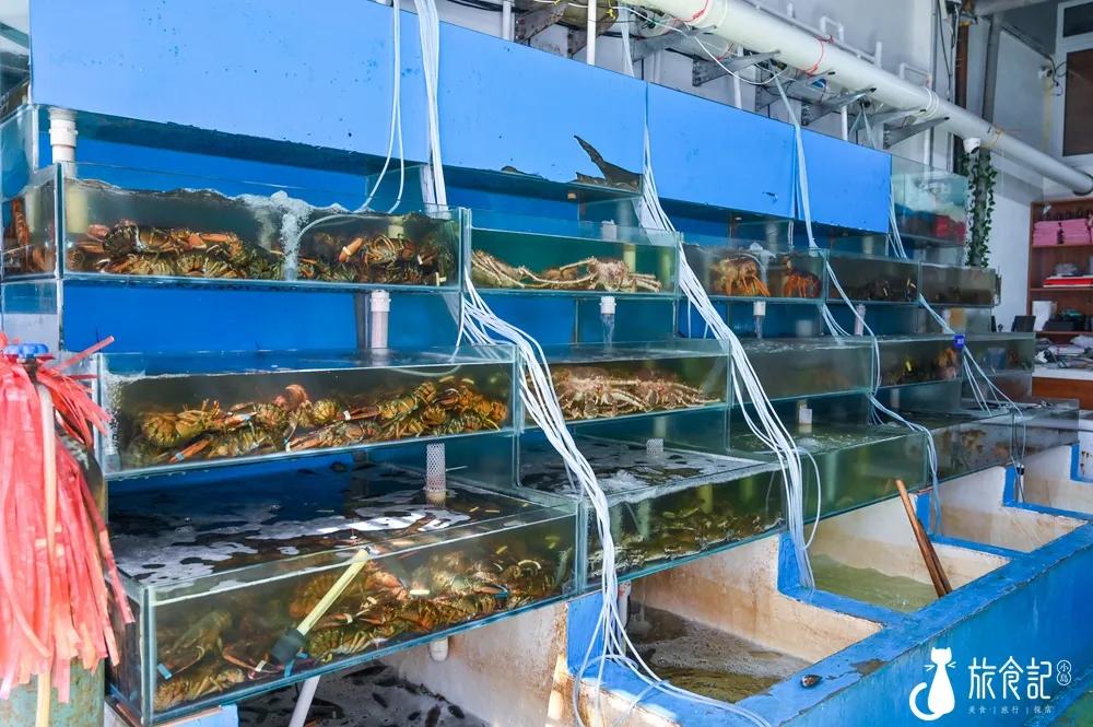 秦皇岛海浪花天桥海鲜批发市场,秦皇岛海浪花批发市场在哪