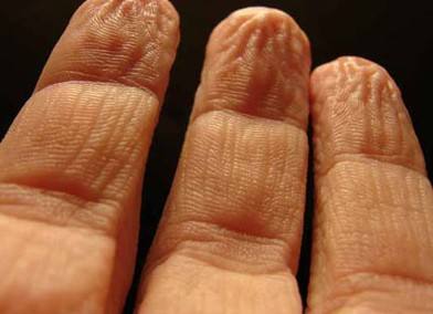 保鲜膜减肥的正确方法,减肥的六种克星食物