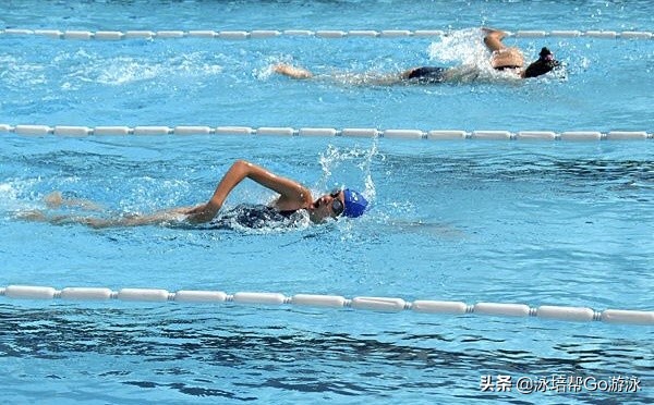 自学游泳怎样让自己游得更专业,游泳爱好者如何成为高手