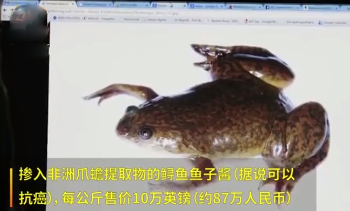 亿万富翁生活奢侈,亿万富婆奢侈生活