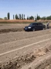 老虎：这是我准备养大吃的，你来凑什么热闹