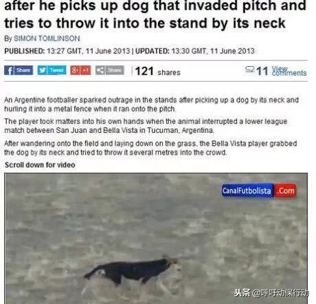 阿根廷球迷冲进球场判罚结果,足球场上因为扔狗被红牌