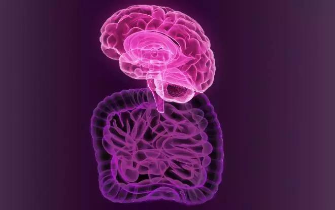 让人着迷的东西,微生物脑肠轴介绍