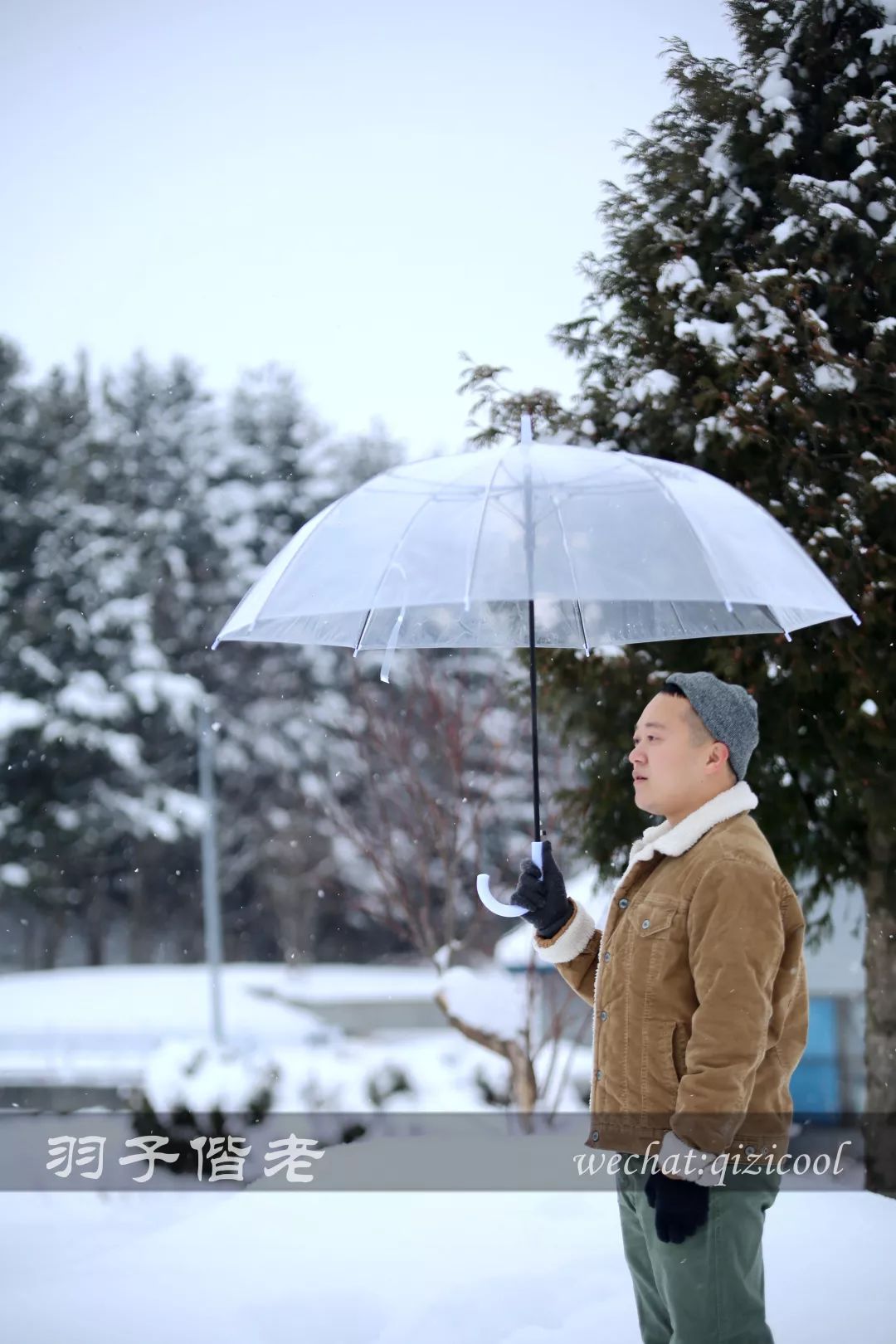 日本10天自由行费用北海道,东京北海道5日自由行攻略