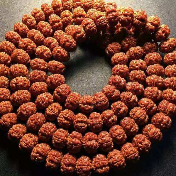 金刚菩提最全纹路解析,大金刚菩提纹路种类图解