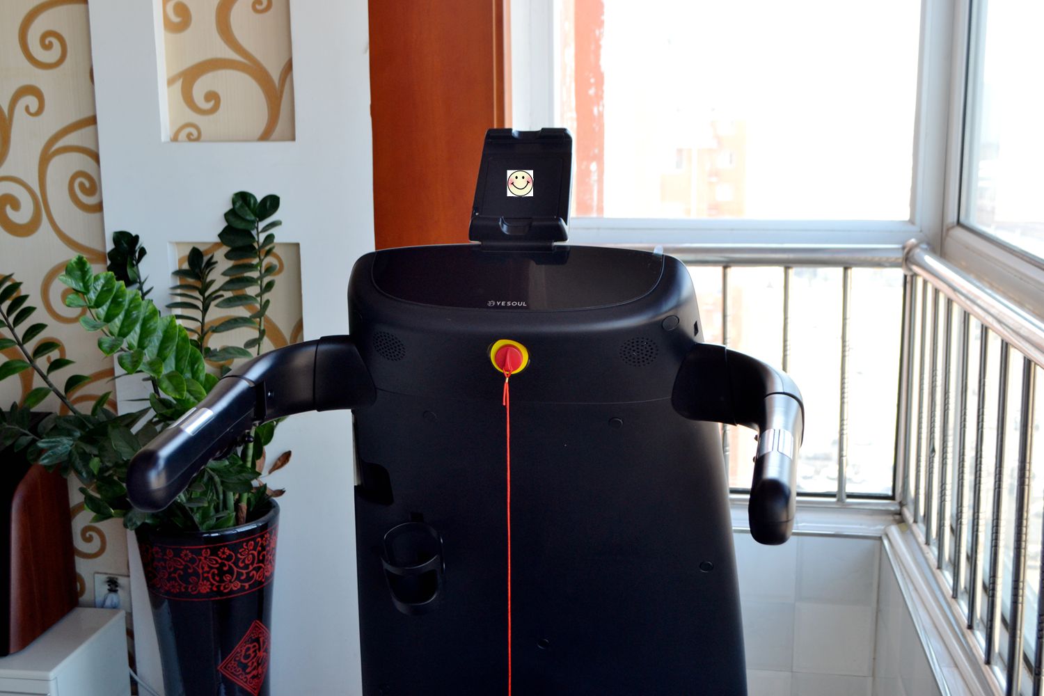 因为老罗入坑！入手了野小兽P30跑步机，坚持了半个月谈谈感受