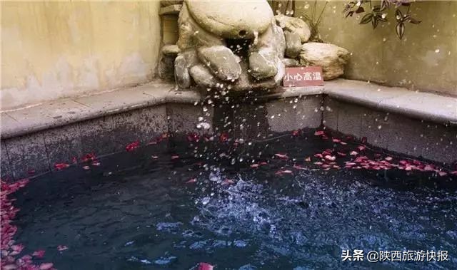 温泉酒店碧水湾,温泉碧水湾温泉度假酒店