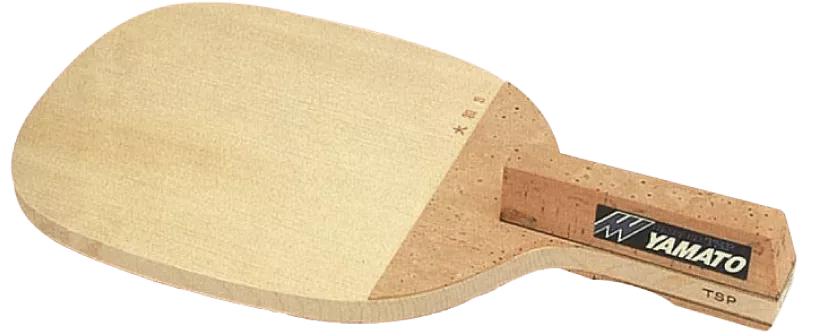 tsp底板哪款比较好,tsp底板是内置还是外置