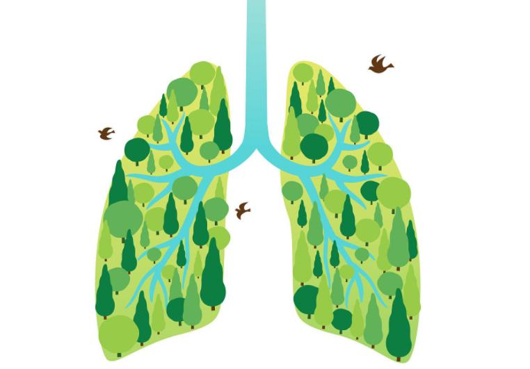 肺部出现六种情况要当心,肺部受伤会有怎样的表现