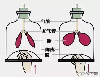 初中生物会考复习计划,初中生物会考复习资料全套