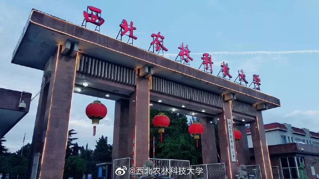 高考志愿到底选专业还是选学校,高考志愿选学校还是选专业重要