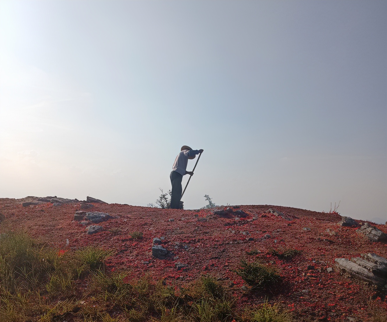 冈仁波齐最新视频,冈仁波齐神山不枉此生