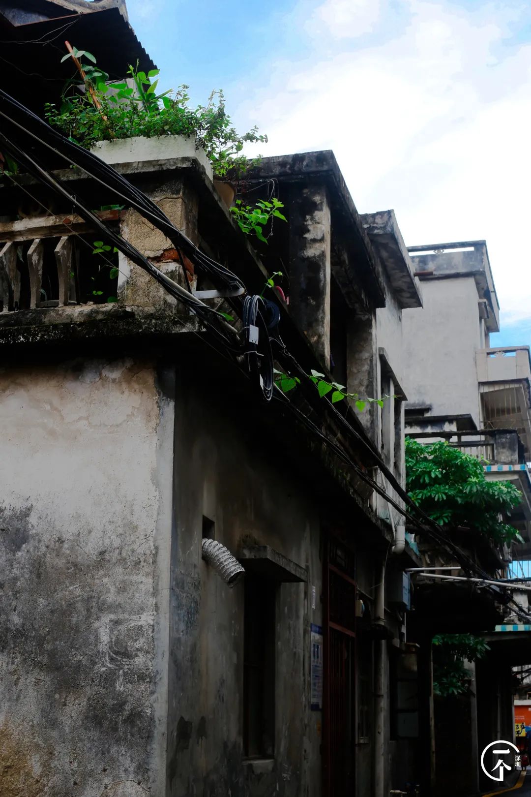 全深圳都要羡慕住在沙井的人,羡慕深圳有房的人