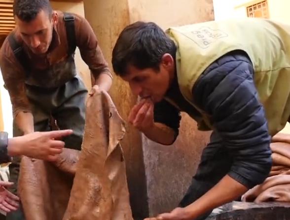 摩洛哥古法制皮视频,摩洛哥皮革制作全过程